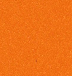 15423-orange